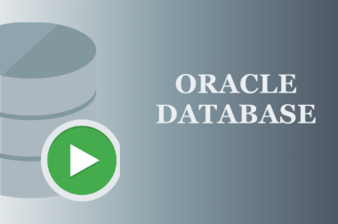How does Oracle Database enhance performance and stability?