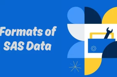 What Are The Formats Of SAS Data?